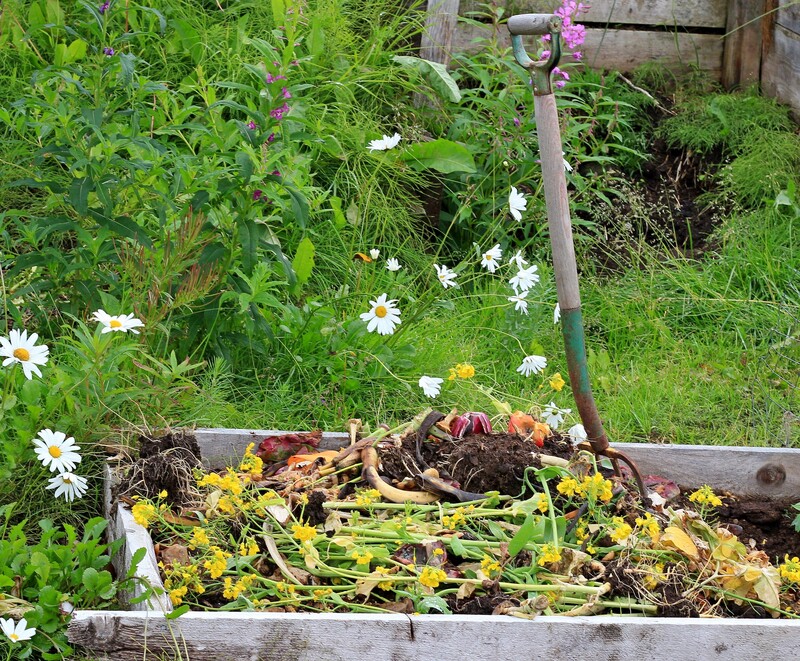 Discover the Difference: Professional Clutter Removal and Hoarder Care